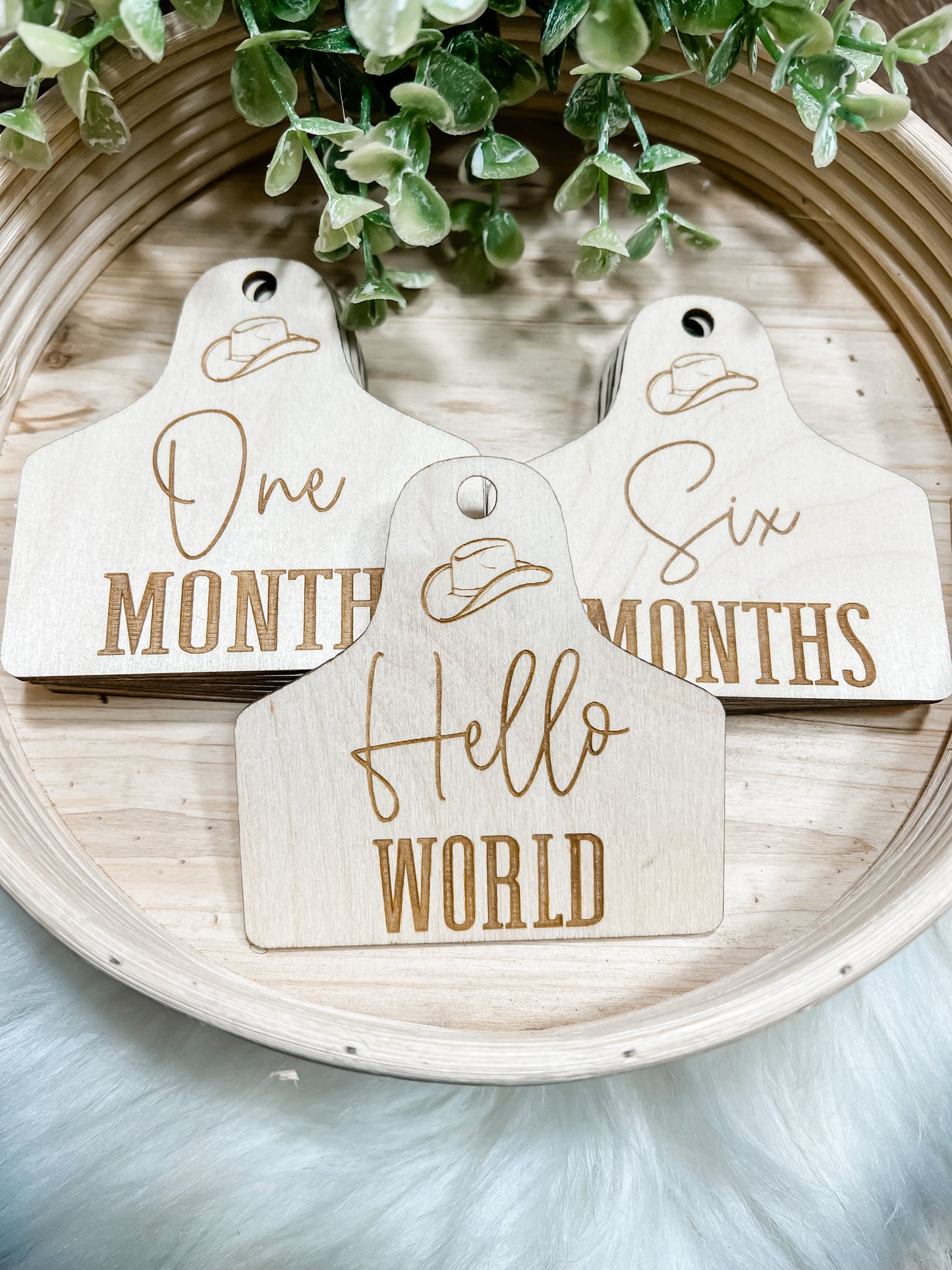 Cowboy Hat Milestone set