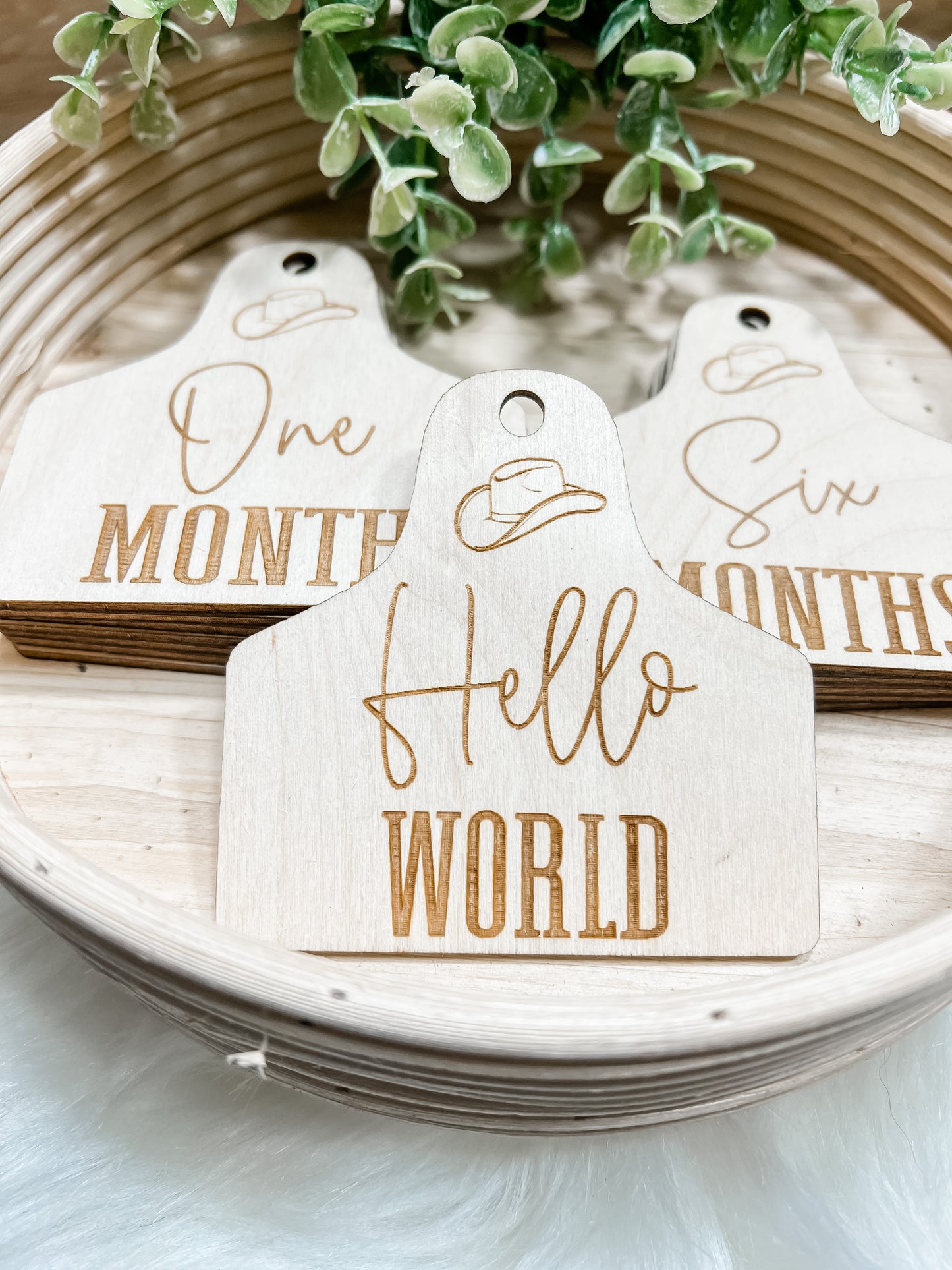 Cowboy Hat Milestone set