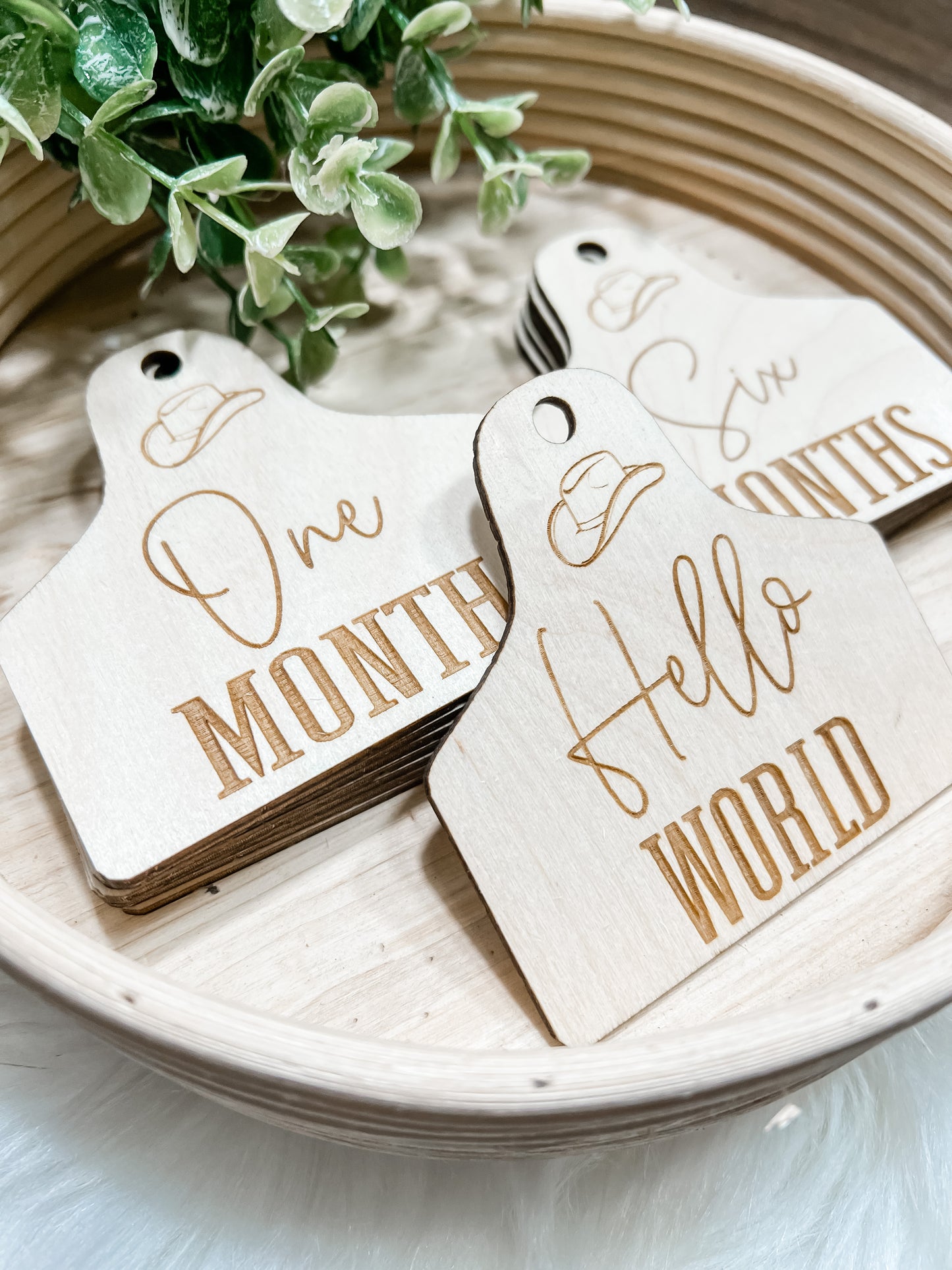 Cowboy Hat Milestone set