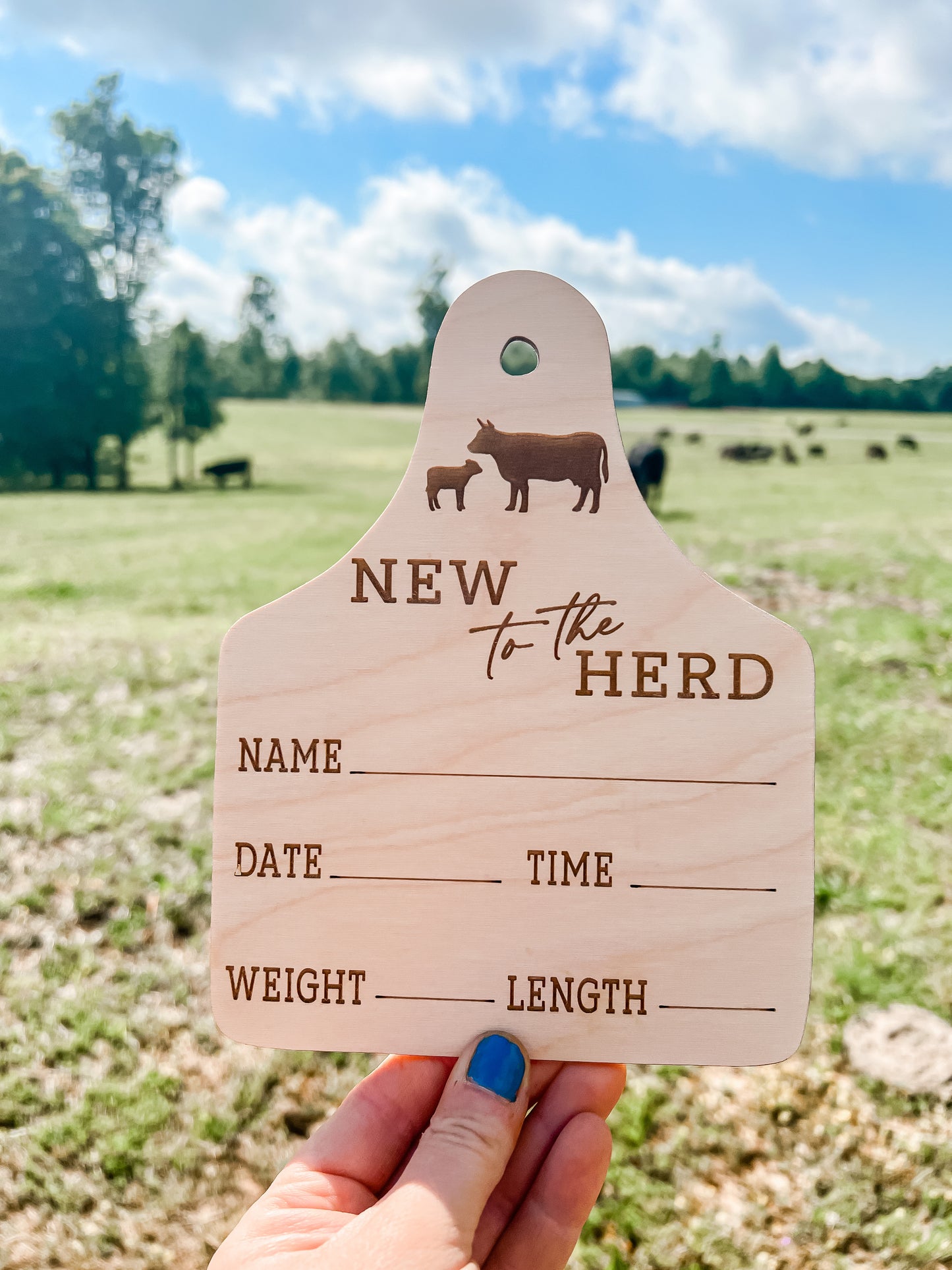 New to the herd Birth Stat Sign