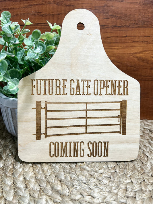 Future Gate Opener On The Way